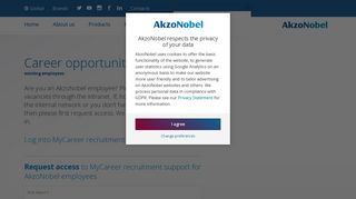 Career opportunities for existing employees | AkzoNobel