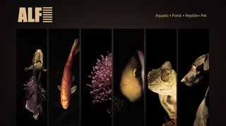 Alf (Aquatic Distributors) Limited - Aquatic - Pond - Reptile - Pet