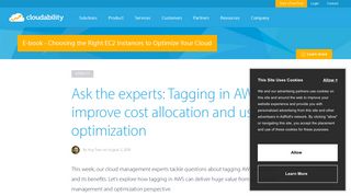Ask the experts: Tagging in AWS to improve cost allocation and usage ...