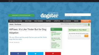 AllPaws: It's Like Tinder But for Dog Adoption - Dogster