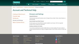 Browsers and Settings - Amica