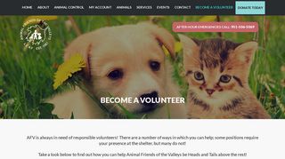 Become A Volunteer - Animal Friends