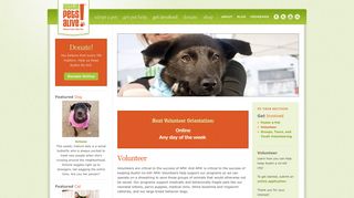Volunteer - Austin Pets Alive!