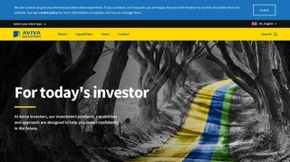 Investment Products and Capabilities - Aviva Investors