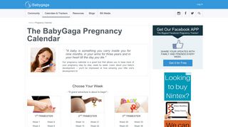 Pregnancy Calendar, Week by Week - BabyGaga