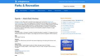 Ball Hockey League in Arlington, VA