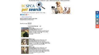BC SPCA Pet Search Adoptable Pets - Search Adoptable & Lost ...