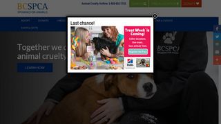 BC SPCA | The B.C. Society for the Prevention of Cruelty to Animals