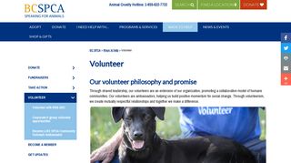 Volunteer | BC SPCA