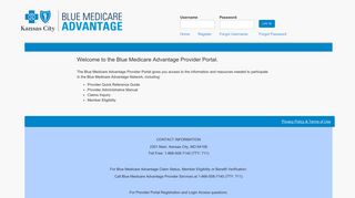 the Blue Medicare Advantage Provider Portal.