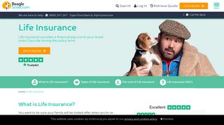 Life Insurance - Online Quote for Life Cover | Beagle Street