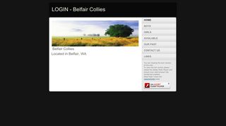 Belfair Collies: LOGIN
