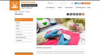 Volunteer Opportunities in Utah | Best Friends Animal Society–Utah