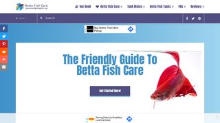 Betta Fish Care Guides & Articles | Japanese Fighting Fish