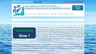Volunteers – Riverhead Foundation