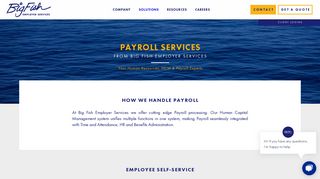 Payroll Services - Big Fish Employer Services