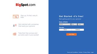 BigSpot: Get Paid To Take Surveys Online!