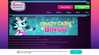 Play Online Bingo | Safari Bingo