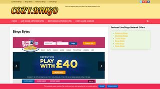 Bingo Bytes Review | You Have £30 FREE Play Bonus Here!