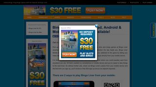 Bingo Liner Mobile – FREE $30 Bonus on first play!
