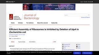 Efficient Assembly of Ribosomes Is Inhibited by Deletion of bipA in ...