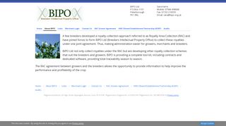 About BIPO | BIPO