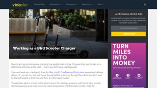Work as a Bird Scooter Charger [And How to Make More Money ...