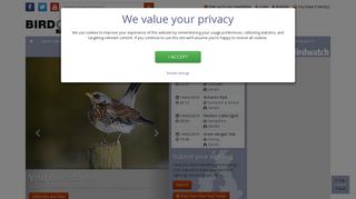 BirdGuides: Home