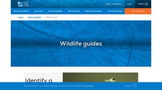 Bird Guides and Wildlife Guides | Birds and Wildlife - The RSPB