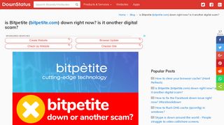 is Bitpetite (bitpetite.com) down right now? is it another digital scam ...