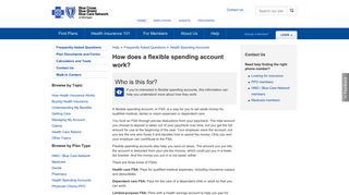 Health Spending Accounts - Blue Cross Blue Shield of Michigan