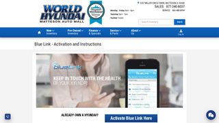 World Hyundai Blue Link Activation and Information