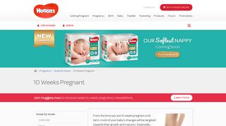 10 Weeks Pregnant Belly & Symptoms | Fetus Size - Huggies