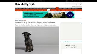 Borrow My Dog: the website for part-time dog lovers - Telegraph