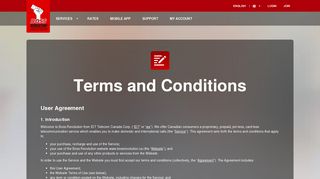 Terms and Conditions - Boss Revolution
