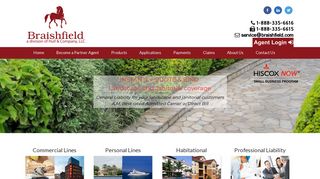 Braishfield – Your One Stop Solution