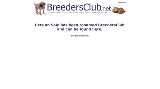 Local Puppies for sale, small dogs for sale, Dog Breeders, Cats ...