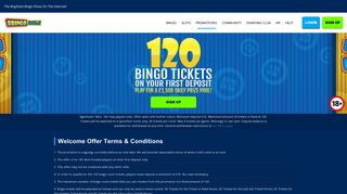 Bringo Bingo - The brightest bingo show on the internet!