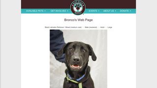 Bronco's Web Page - Ruff Start Rescue
