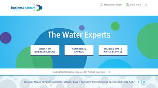 Business Stream: The Water Experts