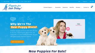 Puppies For Sale - Buy Puppies Online - Puppy Finder | Puppies Today