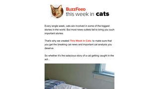 This Week In Cats | BuzzFeed.com
