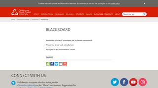 blackboard - Canterbury Christ Church University