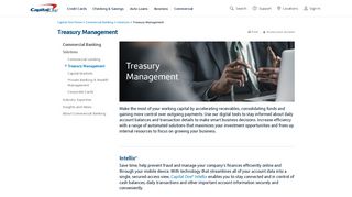 Treasury Management Services | Capital One Commercial Banking