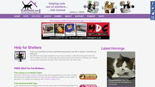 Cat Rescue Centres - We Can Help You! - Cat Chat