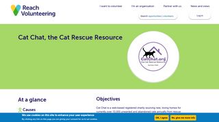Volunteer with Cat Chat, the Cat Rescue Resource | Reach Volunteering