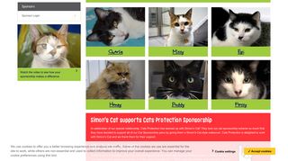 Sponsor a Cat - Help Provide Care for Homeless ... - Cats Protection