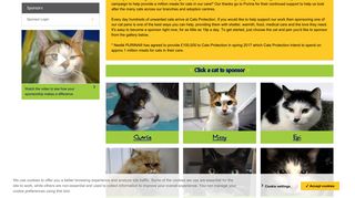Sponsor a Cat - Help Provide Care for Homeless ... - Cats Protection