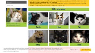Sponsor a Cat - Help Provide Care for Homeless ... - Cats Protection