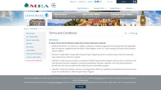 MEA - Terms and Conditions